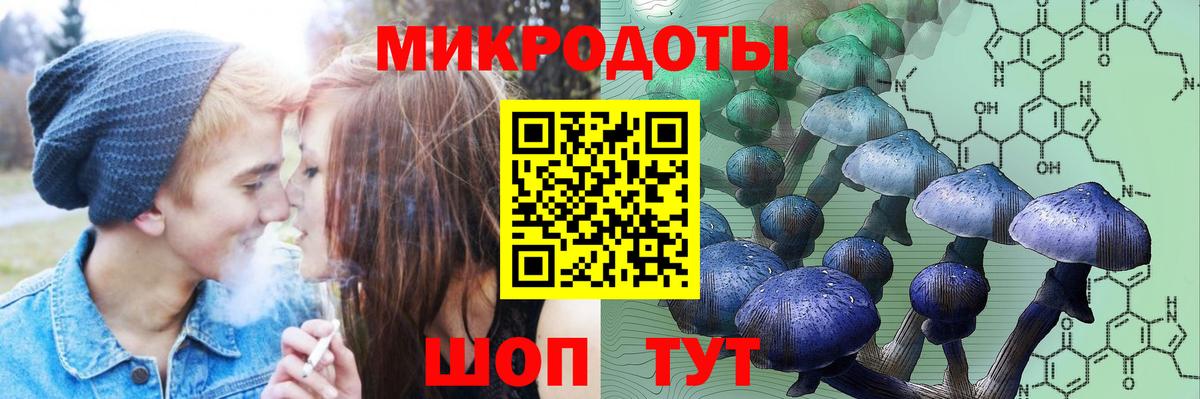 Галлюциногенные грибы Psilocybe  Вход с VPN  Елабуга  Псилоцибиновые грибы Psilocybine cubensis 