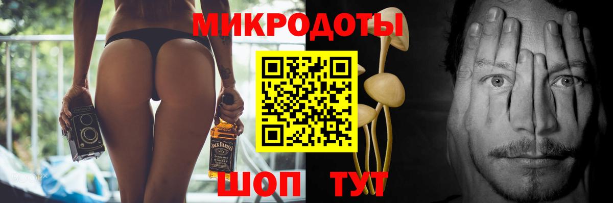 Псилоцибиновые грибы Psilocybe Елабуга